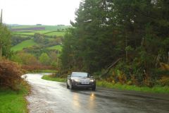 23_Autumn_Leaves-067