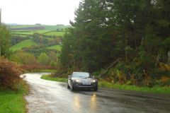 23_Autumn_Leaves-068