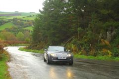 23_Autumn_Leaves-069