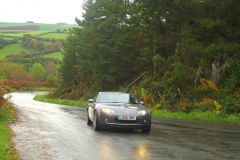 23_Autumn_Leaves-070