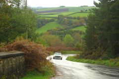 23_Autumn_Leaves-085