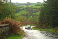 23_Autumn_Leaves-086