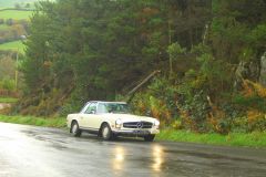 23_Autumn_Leaves-089