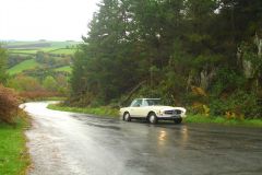 23_Autumn_Leaves-090