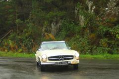 23_Autumn_Leaves-091