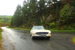 23_Autumn_Leaves-092