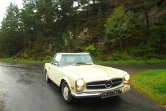 23_Autumn_Leaves-093