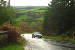 23_Autumn_Leaves-095