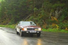 23_Autumn_Leaves-098