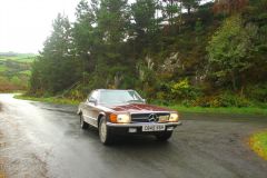 23_Autumn_Leaves-099