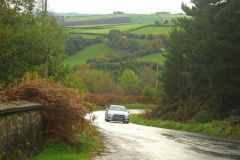 23_Autumn_Leaves-100