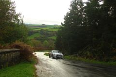 23_Autumn_Leaves-102