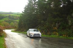 23_Autumn_Leaves-104