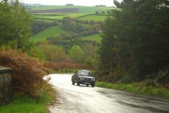 23_Autumn_Leaves-108