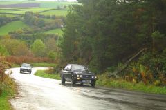 23_Autumn_Leaves-109