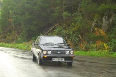 23_Autumn_Leaves-111