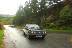 23_Autumn_Leaves-112