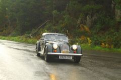 23_Autumn_Leaves-123