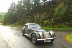 23_Autumn_Leaves-124