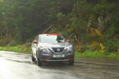 23_Autumn_Leaves-125