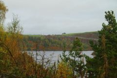 23_Autumn_Leaves-127