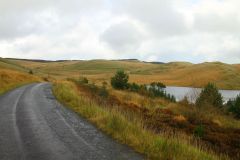 23_Autumn_Leaves-129