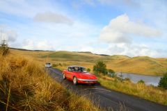 23_Autumn_Leaves-133