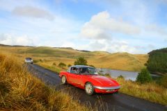 23_Autumn_Leaves-135