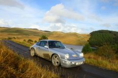 23_Autumn_Leaves-140