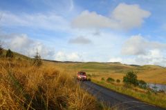 23_Autumn_Leaves-146