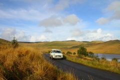 23_Autumn_Leaves-153