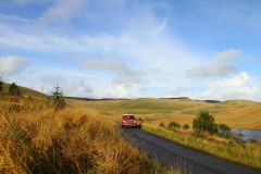 23_Autumn_Leaves-157