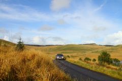 23_Autumn_Leaves-163