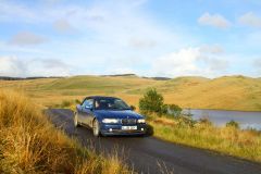 23_Autumn_Leaves-166