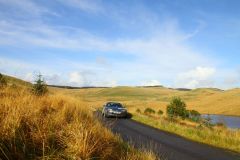 23_Autumn_Leaves-168