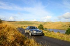 23_Autumn_Leaves-172