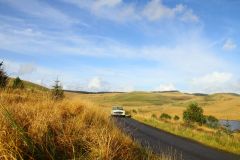 23_Autumn_Leaves-175