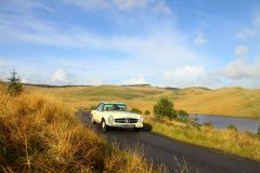 23_Autumn_Leaves-178