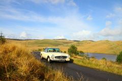 23_Autumn_Leaves-179