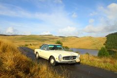 23_Autumn_Leaves-180