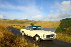 23_Autumn_Leaves-181