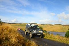 23_Autumn_Leaves-183