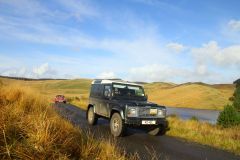 23_Autumn_Leaves-184