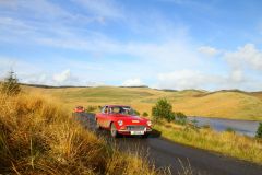 23_Autumn_Leaves-185