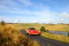 23_Autumn_Leaves-190