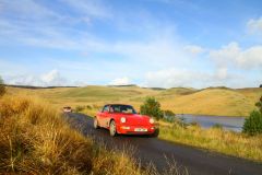 23_Autumn_Leaves-191