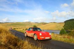 23_Autumn_Leaves-193