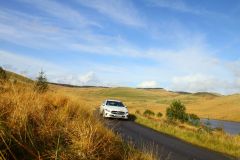 23_Autumn_Leaves-201