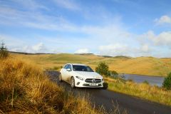 23_Autumn_Leaves-202