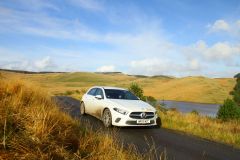 23_Autumn_Leaves-203